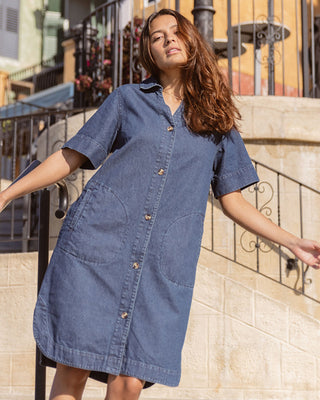 Dawson Denim Dress